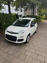Fiat FIAT PANDA - Fiat Panda Gebrauchtwagen in München