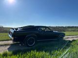 Ford Mustang Mach 1 Fastback - Ford Mustang aus 1969: Coupe