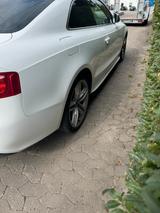 Audi S5 4.2 FSI quattro - - Audi S5 aus 2008