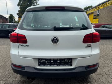 Volkswagen Tiguan - 10