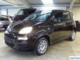 Fiat Panda Easy Klima+Shzg+Radio/CD+Allwetter+TÜV neu - scheckheftgepflegte Fiat Gebrauchtwagen