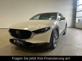 Mazda CX-30  ACC 150Ps Kamera Navi Tot Winkel SHZ BOSE - Mazda in Lübeck