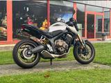 Harley-Davidson FXSTC Softail Custom im Kundenauftrag - HARLEY-DAVIDSON FXST