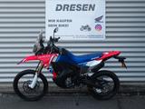 Honda CRF 300 Rally ABS * 2025 *  6 Jahre Garantie * - HONDA 300