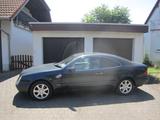 Mercedes-Benz CLK 230 Kompressor Elegance Automatik/HU-2027!!! - Mercedes-Benz CLK 230 aus 1997
