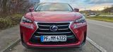 Lexus NX 300h E-FOUR Luxury Line*8-fach*PANO*LED*HUD - Lexus: Nx