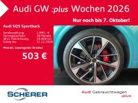 Audi SQ5 - Vorschau Bild 9