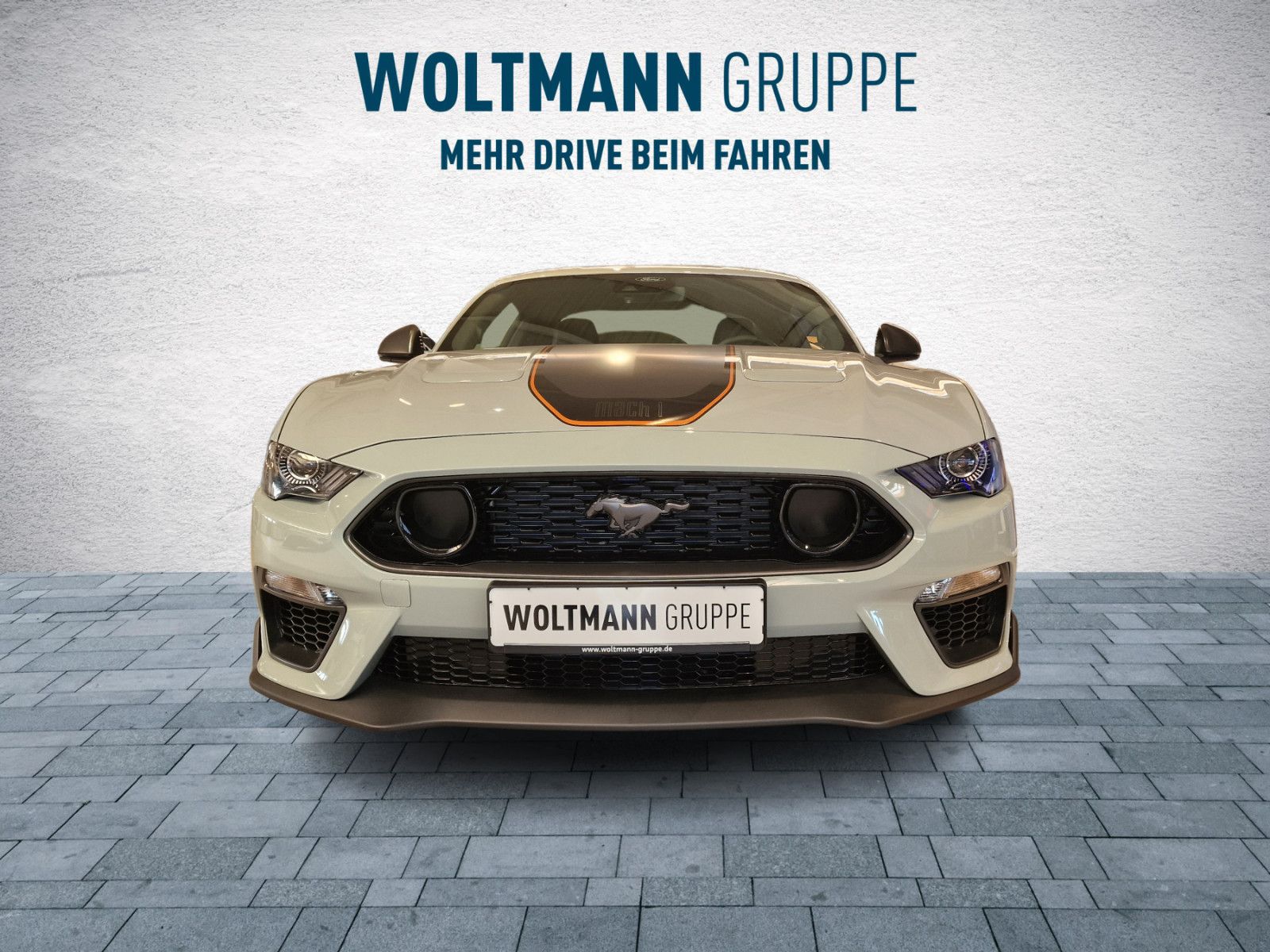 Fahrzeugabbildung Ford Mustang Mach 1 Sonder Edition