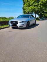 Jaguar XE 25d 240PS AWD Portfolio Automatik Portfolio - Jaguar XE Portfolio mit Diesel-Antrieb
