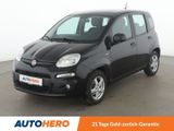 Fiat Panda 1.2 Pop*KLIMA*LM-FELGEN*GARANTIE*CD*USB* - Fiat Panda in Nürnberg
