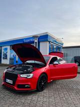Audi A5 DTM 1of300 | V6 3.0 TDI | Top gepf... - Audi A5 DTM Gebrauchtwagen