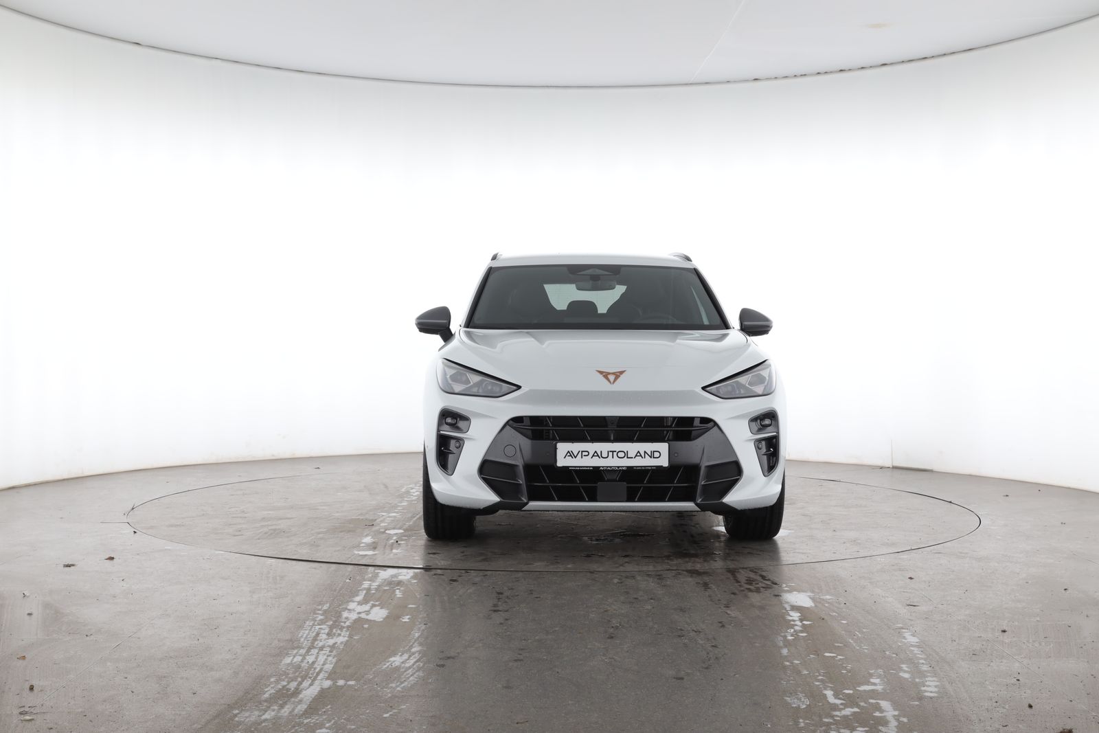 Cupra Terramar - Bild 6