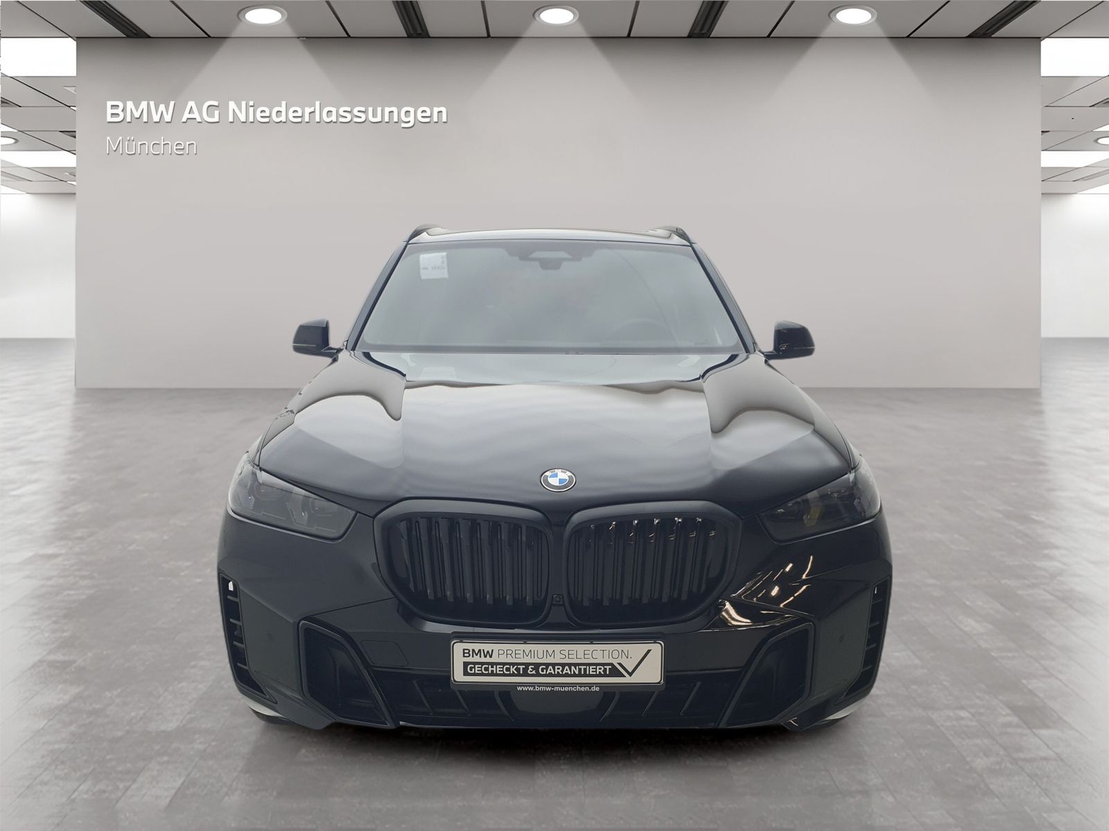 BMW X5 xDrive30d M Sport AHK Driv.Assist.Prof LED foto 4