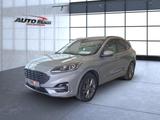 Ford Kuga Plug-In Hybrid ST-Line X Sportpaket Navi - Ford Kuga: Sport