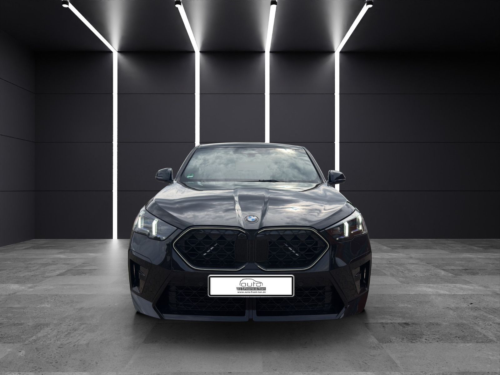 Fahrzeugabbildung BMW X2 sDrive M Sport*Head-up*Harman*360°Cam*DAB*