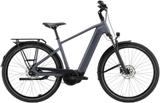 Pegasus Solero EVO 7F Belt XL - Pegasus E-Bikes