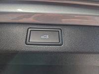 Skoda Kamiq - Vorschau Bild 15