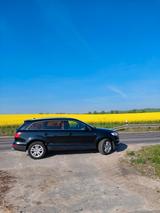 Audi Q7 3.0 TDI (DPF) quattro tiptronic - - Audi Q7 in Lübeck