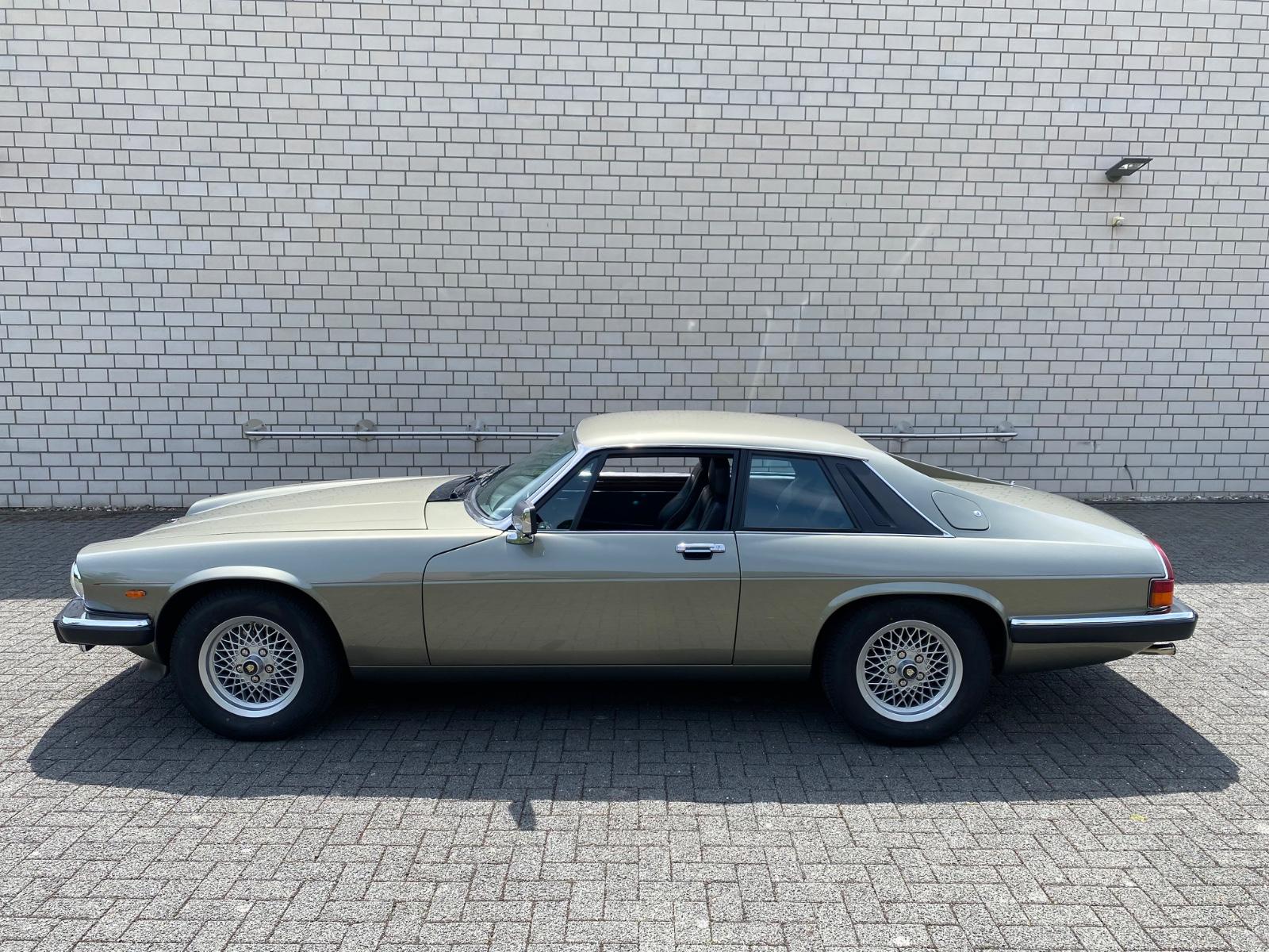 Jaguar XJS V12 / TOP-ZUSTAND !