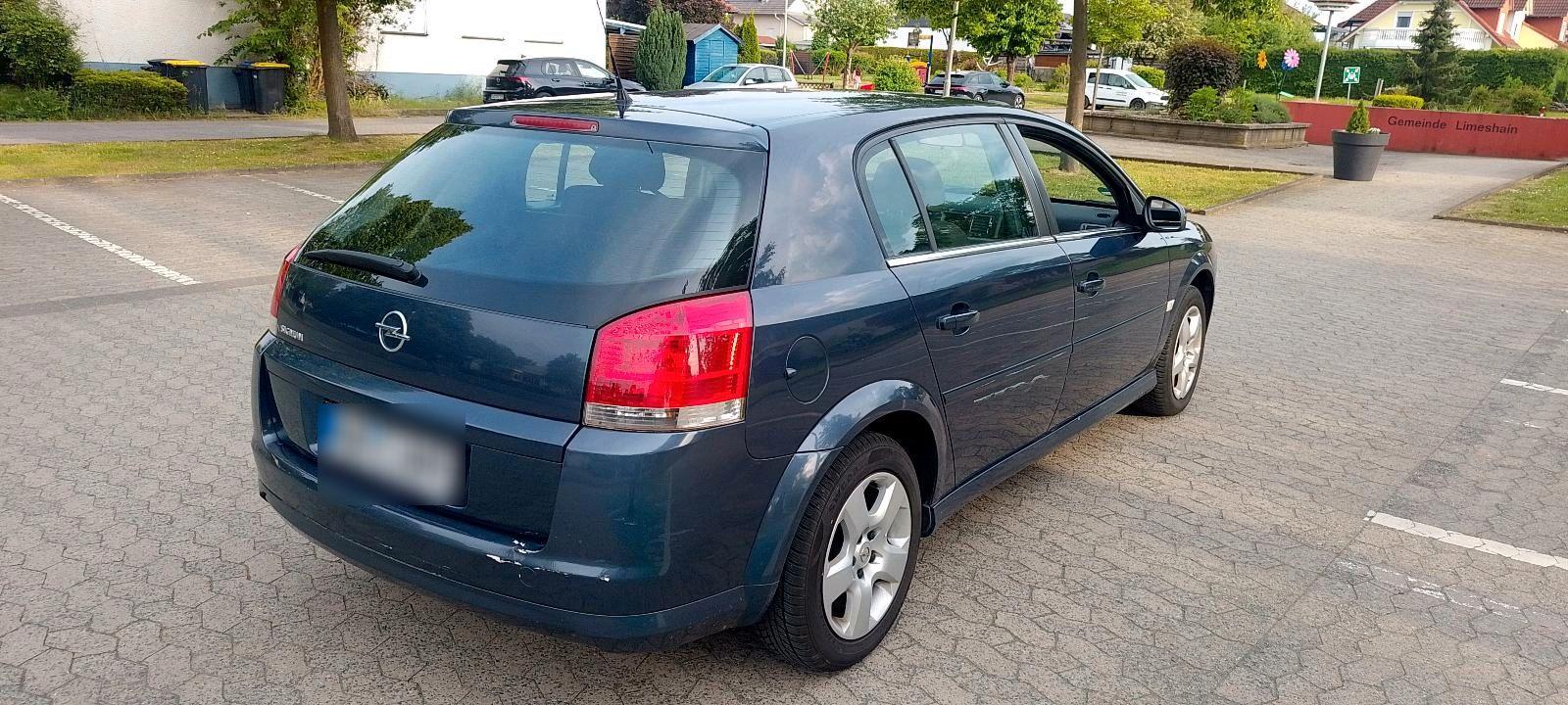 Opel Signum 2008 — photo 7