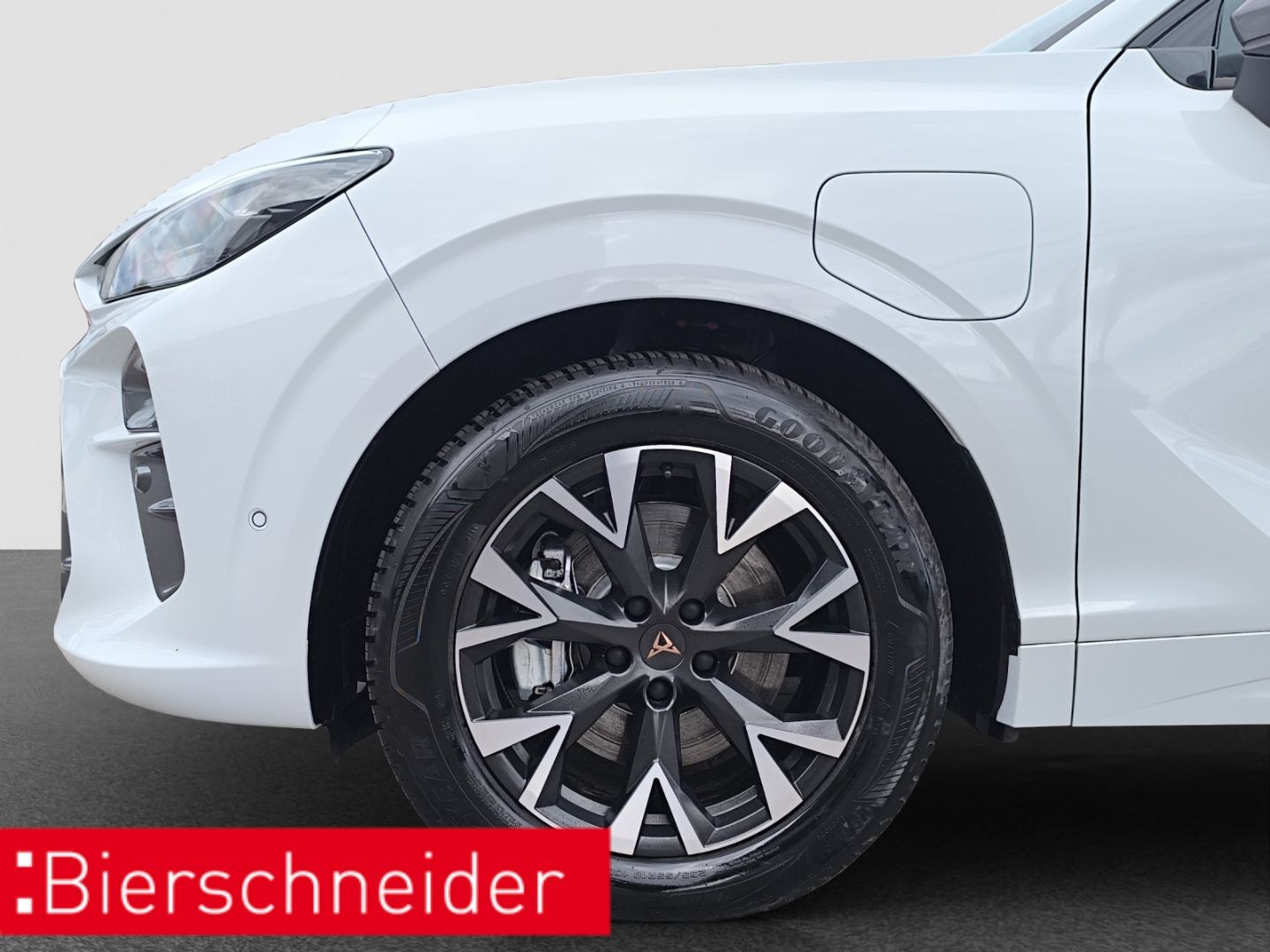 Cupra Terramar - Bild 10