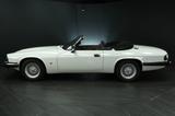Jaguar XJ S Cabrio 5,3 V 12 - Jaguar XJS