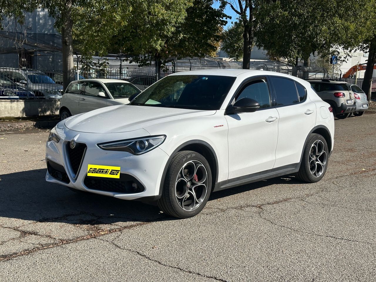 Alfa Romeo Stelvio 2.2 Turbodiesel 210 CV AT8 Q4
