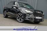 Cupra Terramar 2.0TSI 320€mtl 4D VZ Pano ACC RFK Sennh - Cupra Terramar mit Schiebedach