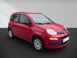 Fiat Panda 1.2 My Panda - Fiat Panda: My