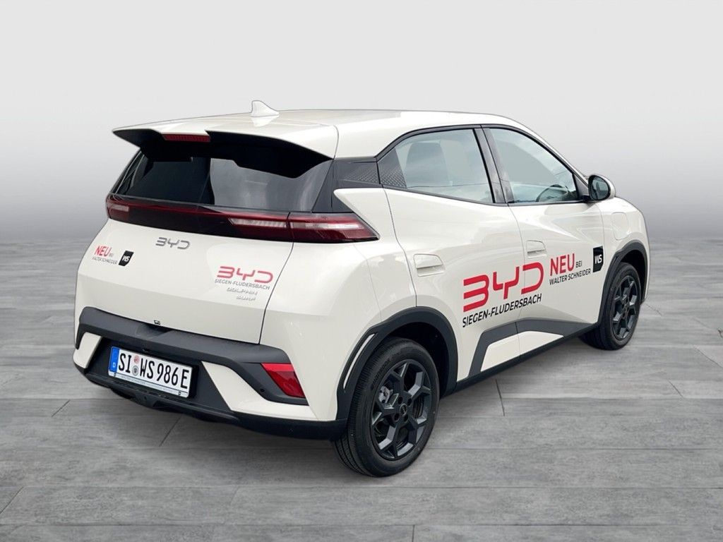 BYD DOLPHIN SURF
