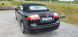 Saab 9-3 1.8t Vector Cabriolet Vector - Saab in Stuttgart