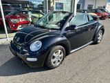 Volkswagen Beetle Cabriolet New 2.0 Highline Paket 8 Fac... - Volkswagen Beetle aus 2006