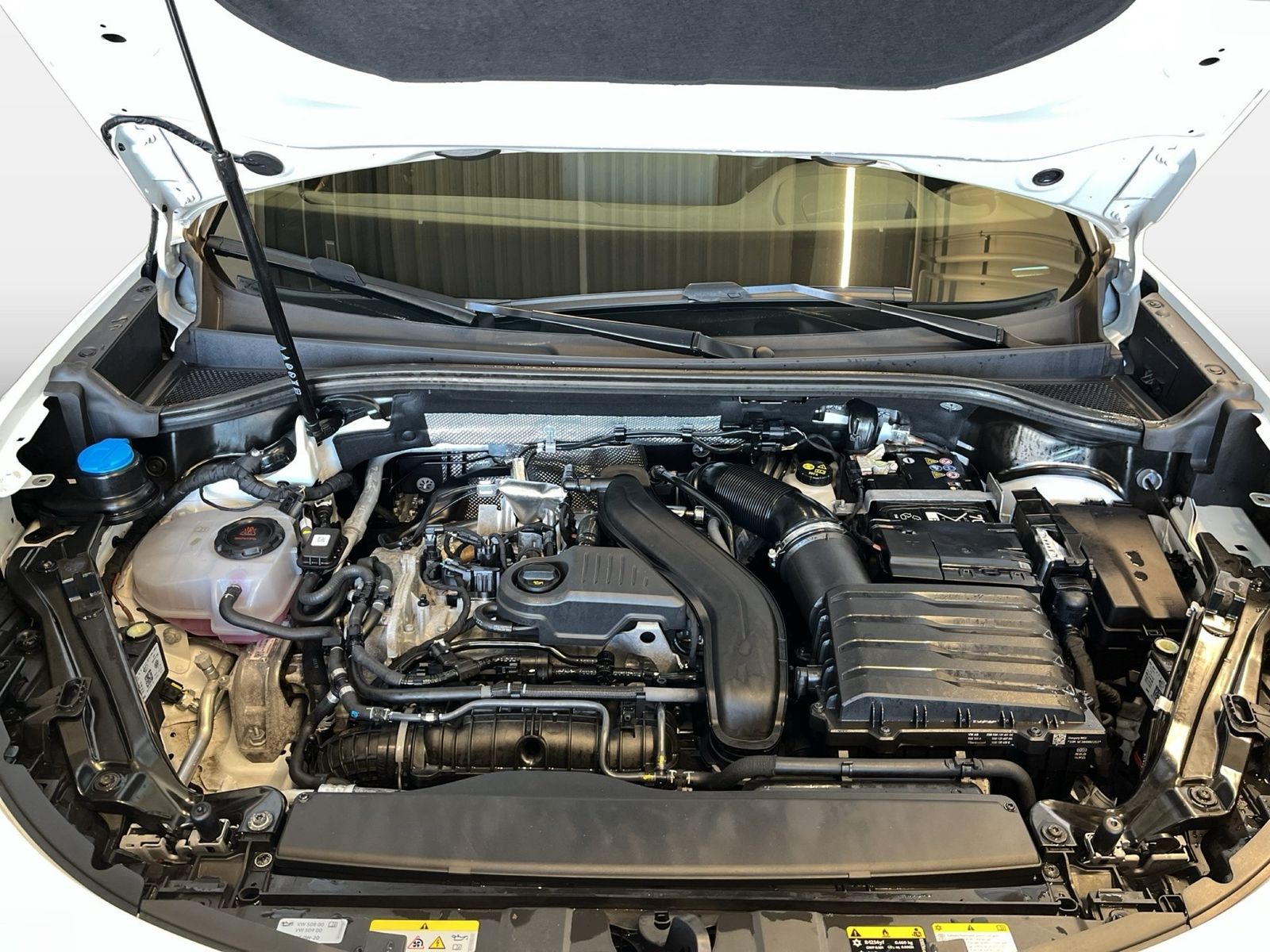 Cupra Terramar - Bild 18