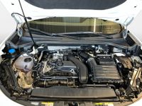 Cupra Terramar - Vorschau Bild 18