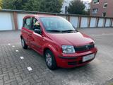Fiat Ehrlicher Fiat Panda 1.1 169  Wenig Kilom... - gebrauchte Fiat Panda aus dem Jahr 2003