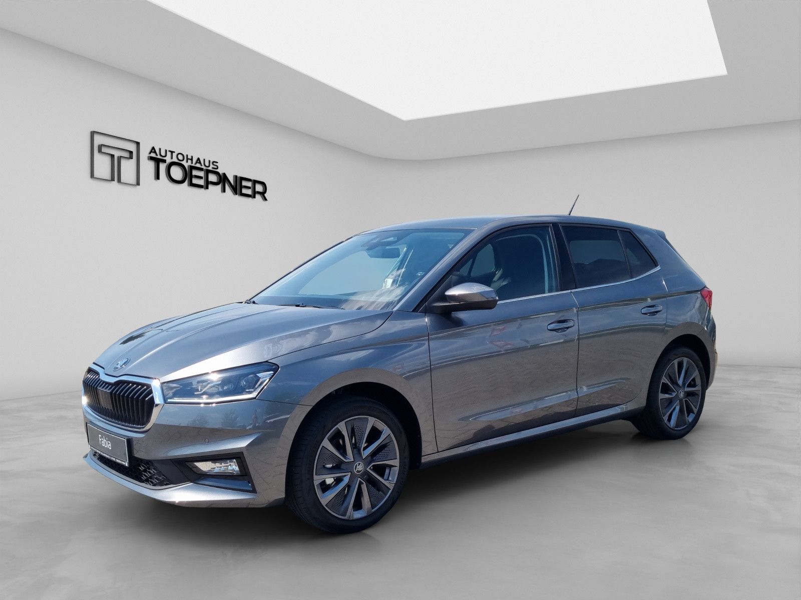 Fahrzeugabbildung SKODA Fabia Balance 1,0TSI 17" Winter+ Fahrassi 50L