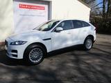 Jaguar F-PACE 3.0D AWD + AHK + Navi + TOP - Jaguar mit Diesel-Antrieb: 3.0