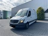 Mercedes-Benz Mercedes Benz Sprinter 313 CDI Maxi Klima ... - Mercedes-Benz Sprinter: 313 Maxi
