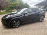 Lexus UX 250 h, HuD, CAM, SHZ, Leder, Navi - Lexus Gebrauchtwagen in Braunschweig