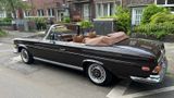 Mercedes-Benz 280 SE W111-Flachkühler Cabrio - Mercedes-Benz 280 aus 1969: 280se