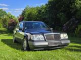 Mercedes-Benz Mercedes Benz S124 280TE W124 Sportline - Mercedes-Benz 280: Te