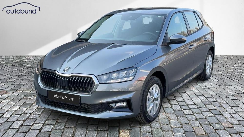 Skoda Fabia IV 1,0 TSI 130 Jahre LED Link NBA PDC RFK 