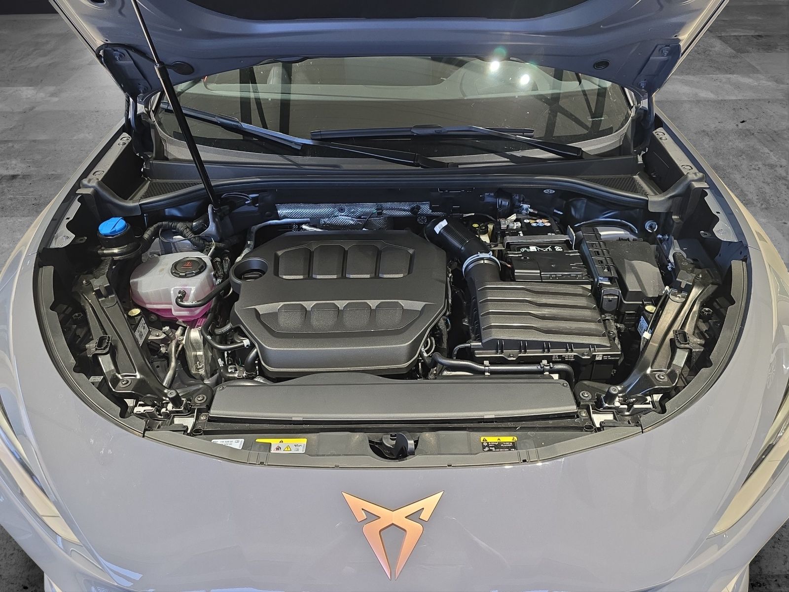 Fahrzeugabbildung CUPRA Terramar 2.0 TSI DSG 4Drive America's Cup Limite