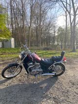 Suzuki intruder vs800 chopper - Angebote