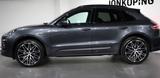 Porsche Macan PDLS*AHK*PANO*BOSE - Porsche Macan in Dresden