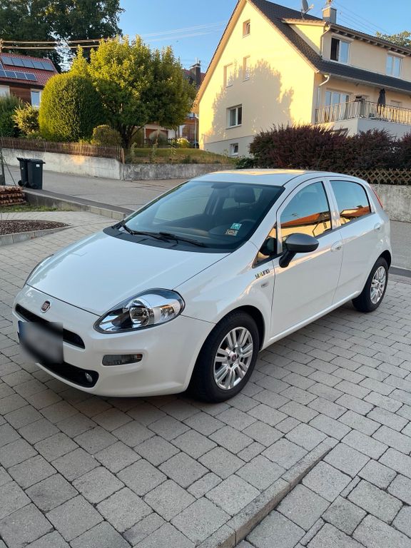 Image of Fiat Punto
