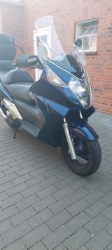 Honda Silverwing  600 - Honda Motorräder in Lübeck
