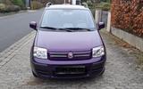 Fiat Panda Dynamic - Fiat Panda Gebrauchtwagen in Braunschweig