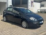 Fiat Punto Evo Active | 5 Türer | Klima - Fiat aus 2011