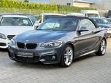BMW 220 d Cabrio M Sportpaket |LEDER|BIXENON|NAVI| - mit Diesel-Antrieb: Grau, Sportpaket
